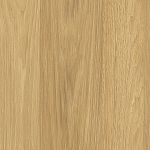 dub hickory
