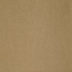 carabu cappuccino 102