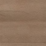 gusto camel 4