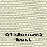 Slonová kost
