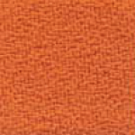 BN 19