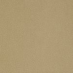 carabu beige 66