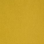 carabu giallo 131