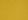 carabu giallo 131