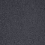 carabu grigio 110
