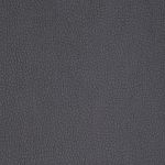 carabu grigio 77